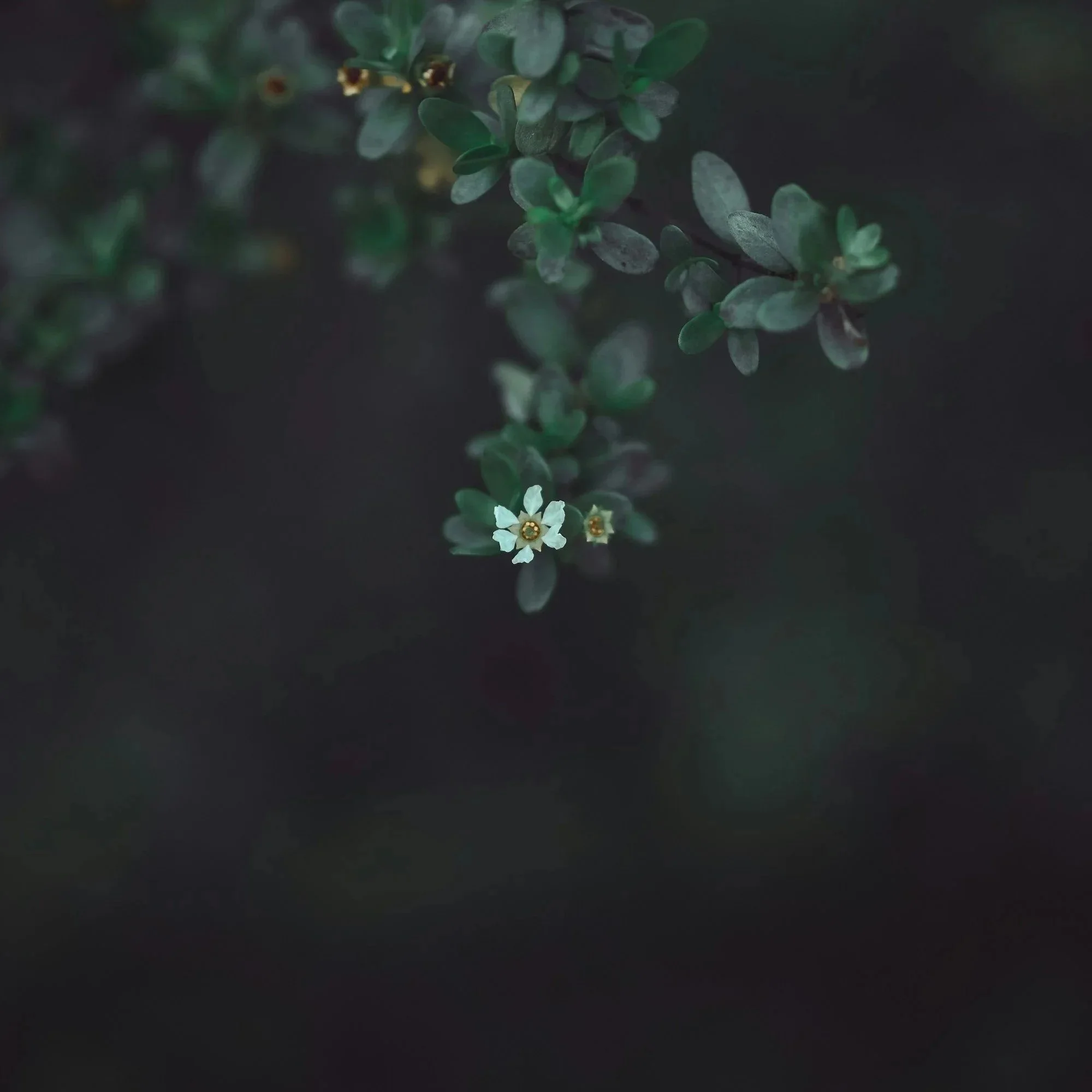 unsplash-image-3ANxdFZ9Mgc.jpg