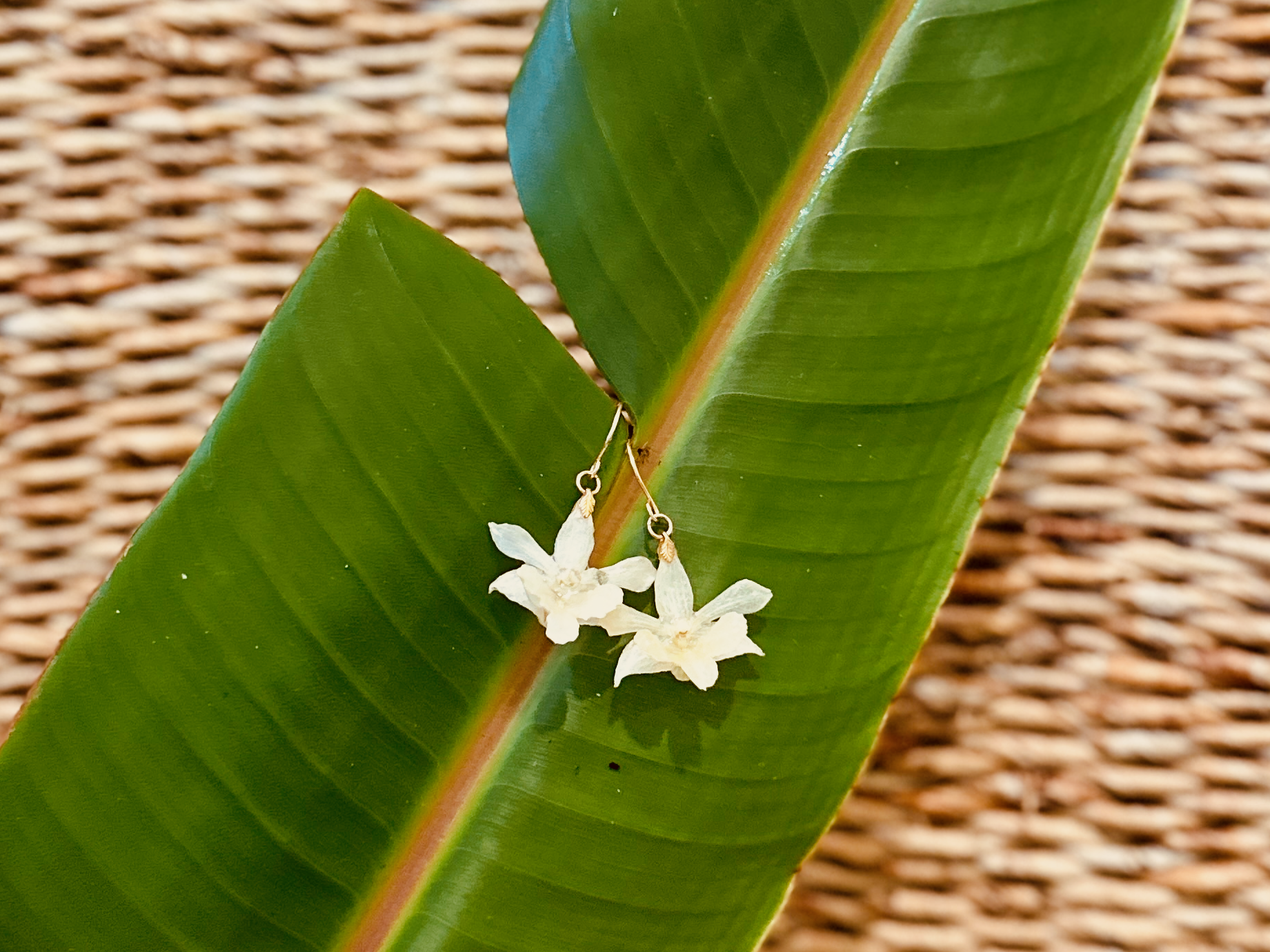 IMG_6044.png