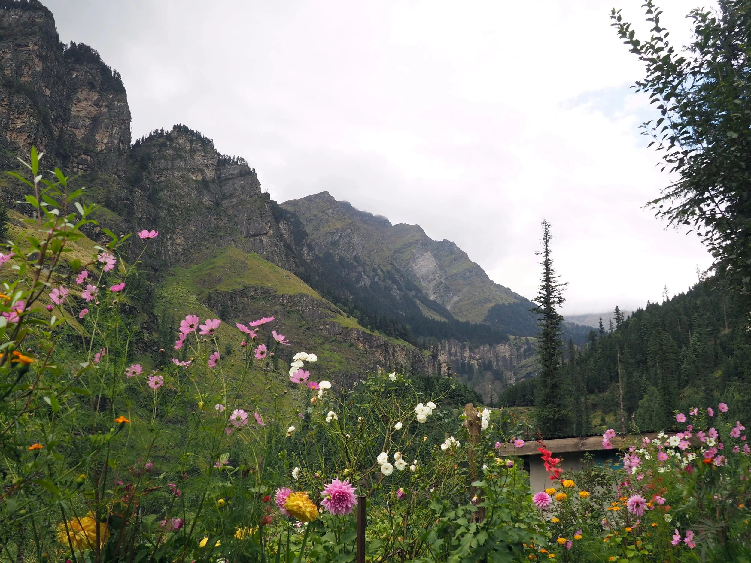 P9172143 - Edited.jpg