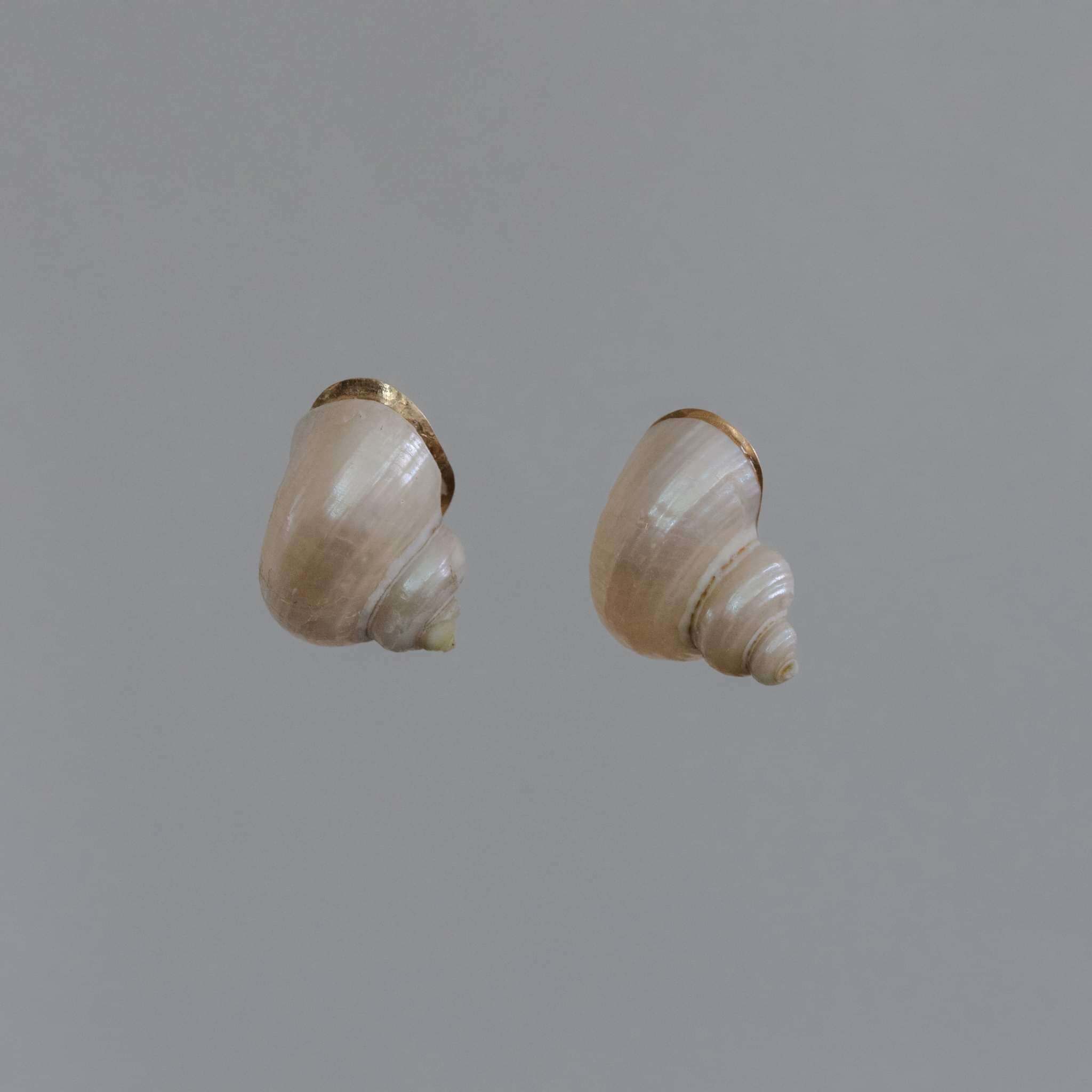 C002734B-D165-4BC8-897B-12D3A947FDD5