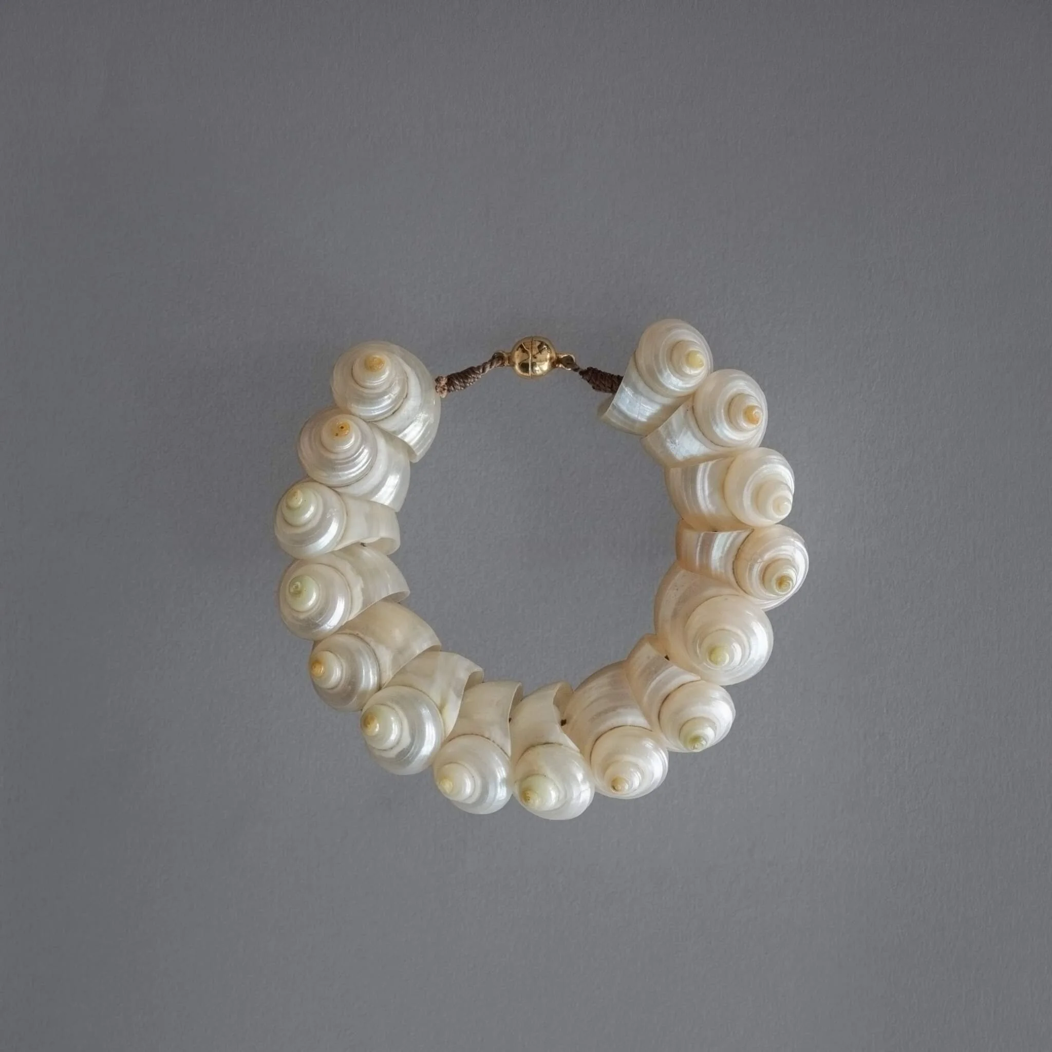 E1612A4E-BB61-41E6-BD8F-18E0E2891E69