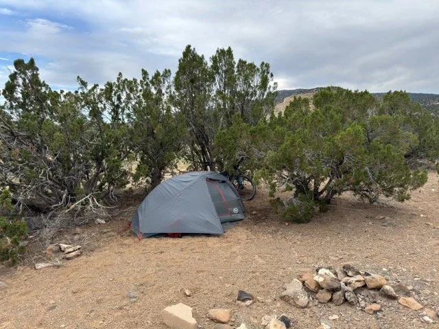 IMG_2933 Medium.jpeg