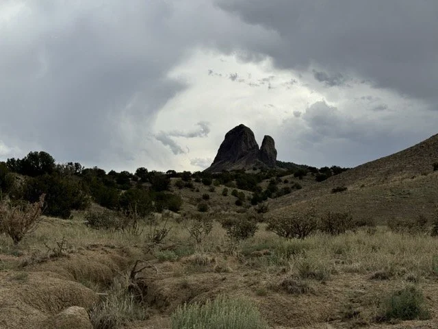 IMG_2922 Medium.jpeg