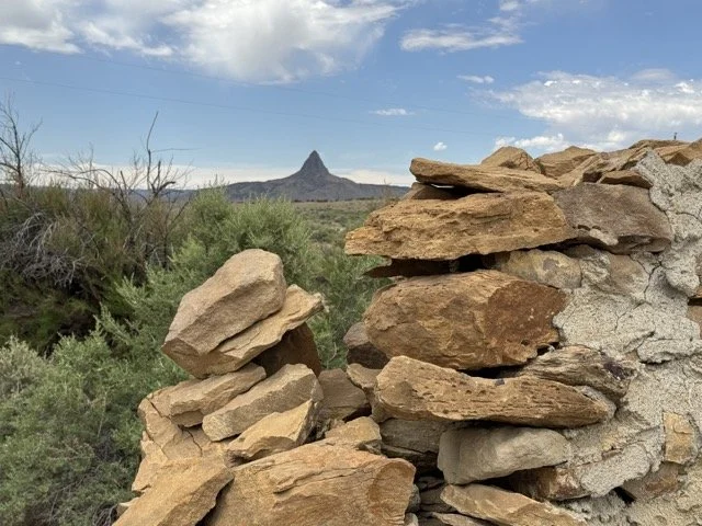 IMG_2913 Medium.jpeg