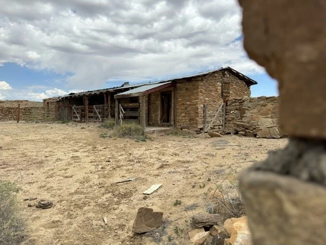 IMG_2905 Medium.jpeg