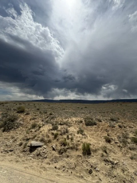 IMG_2897 Medium.jpeg