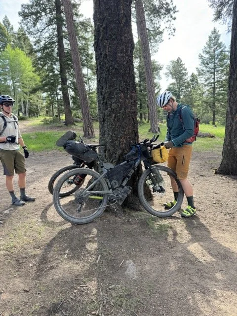 IMG_2408 Medium.jpeg