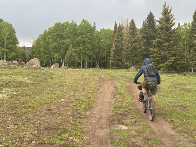 IMG_2964 Medium.jpeg