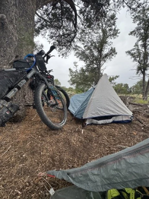 IMG_2991 Medium.jpeg