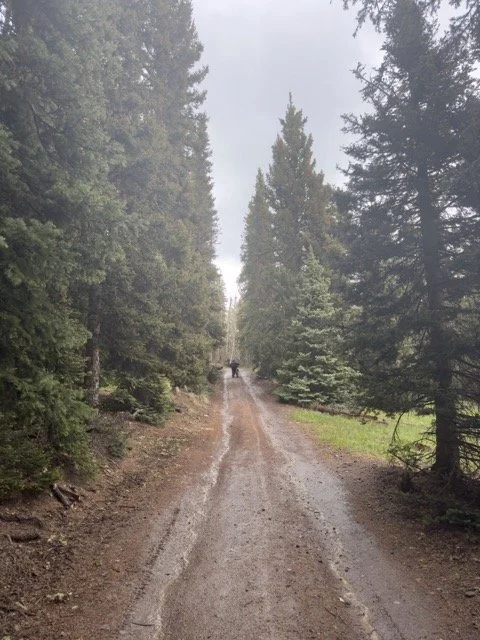 IMG_3033 Medium.jpeg