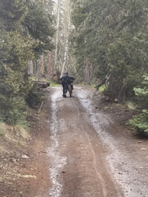 IMG_3034 Medium.jpeg