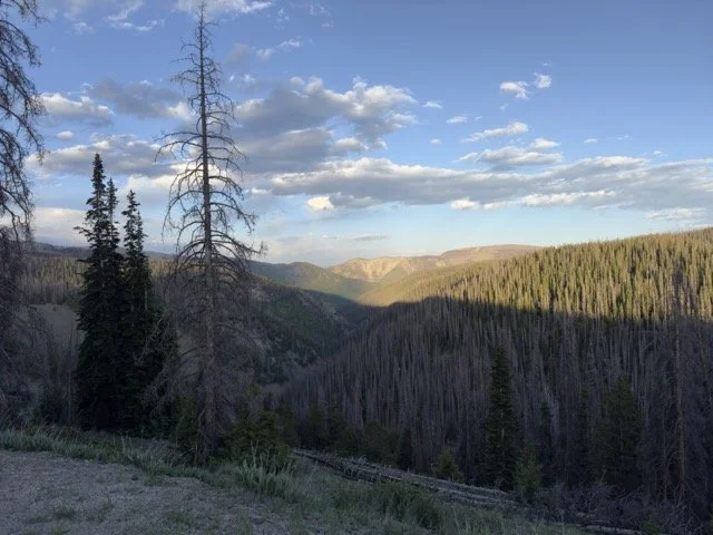 IMG_3088 Medium.jpeg