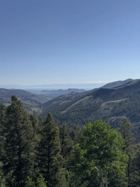 IMG_3089 Medium.jpeg