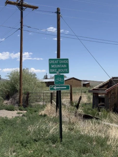 IMG_3090 Medium.jpeg