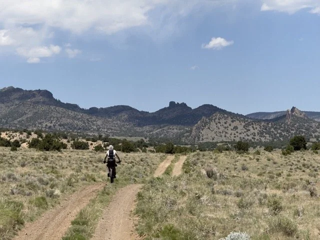 IMG_3095 Medium.jpeg