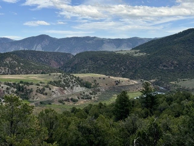 IMG_3201 Medium.jpeg