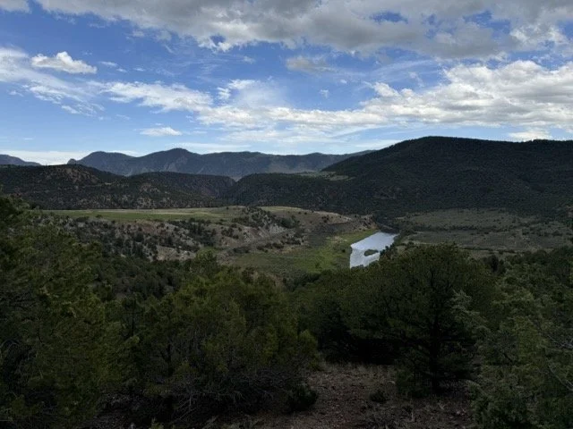 IMG_3202 Medium.jpeg