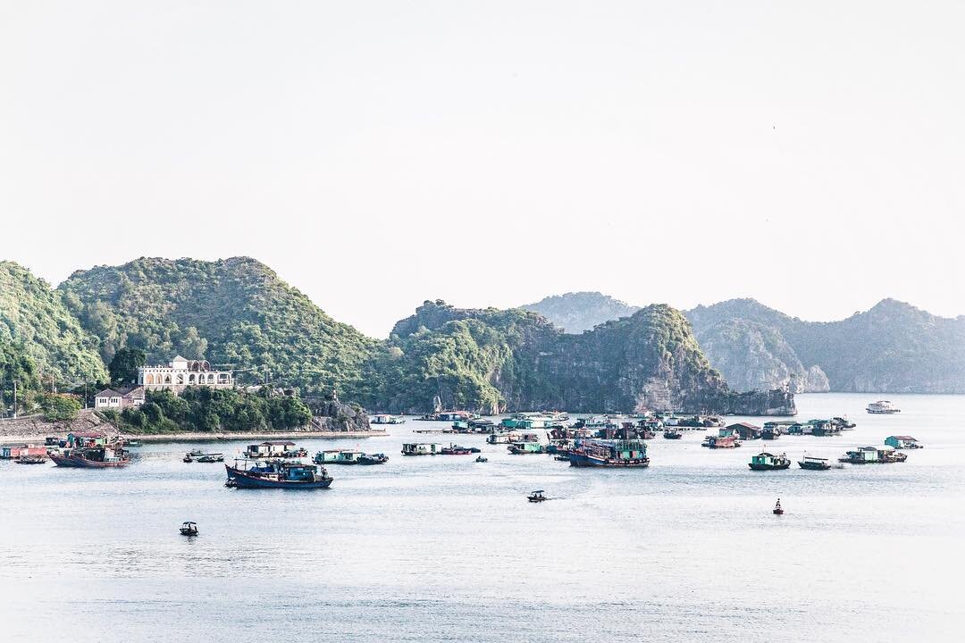 C&aacute;t B&agrave; Island in Vietnam. ✨🔥
⠀⠀⠀⠀⠀⠀ ⠀⠀⠀⠀⠀⠀
⠀⠀⠀⠀⠀⠀ ⠀⠀⠀⠀⠀⠀
#asia_vacations #theasiacollective #theasiacollectivelife #TLAsia #beautifulseasia #canonasia #everydayasia #_southeastasia #vietnam #vietnam🇻🇳 #catbaisland #naturegeography #e