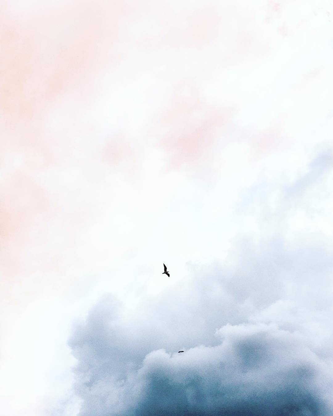 Birdies in the sky. Gratitude! Thank you so much for your first orders in my new print shop! Very. Very. Very. Grateful. ✨
⠀⠀⠀⠀⠀
⠀⠀⠀⠀⠀⠀⠀⠀⠀
⠀⠀⠀⠀⠀ ⠀⠀⠀⠀⠀
⠀⠀⠀⠀⠀⠀⠀⠀⠀
⠀⠀⠀⠀⠀⠀⠀⠀⠀
#byronbay #outside_project #earth #captureyourcreativity #bdteam #agameoftones 