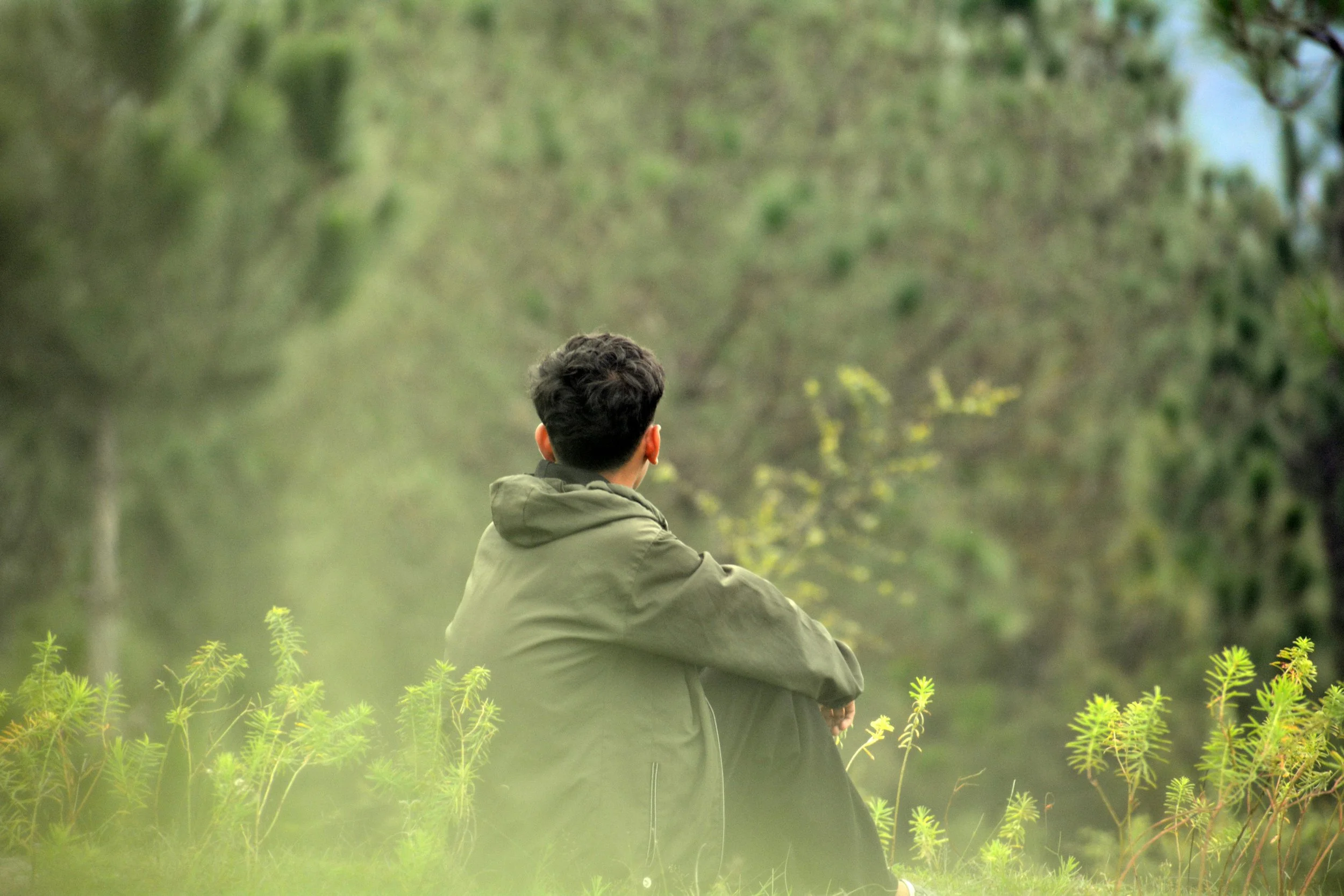 trauma page image.jpg