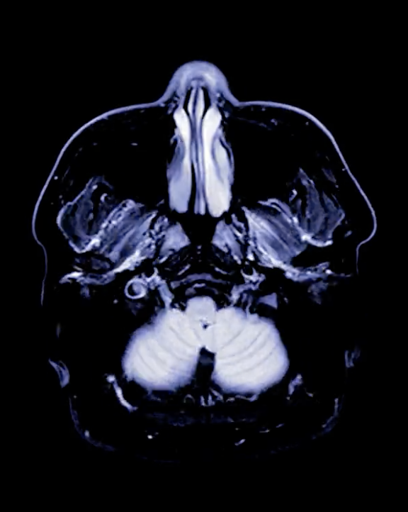 Screen Shot 2021-09-18 at 1.23.17 PM.png