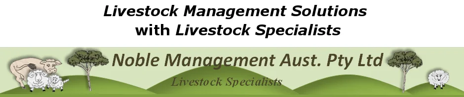 Noble Management
