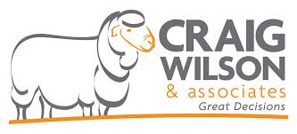 Craig Wilson and Associates