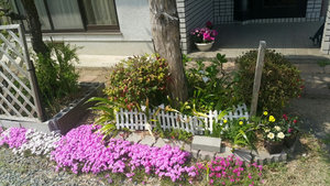 사본+-1522707656445.jpg