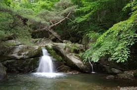 image7.jpg