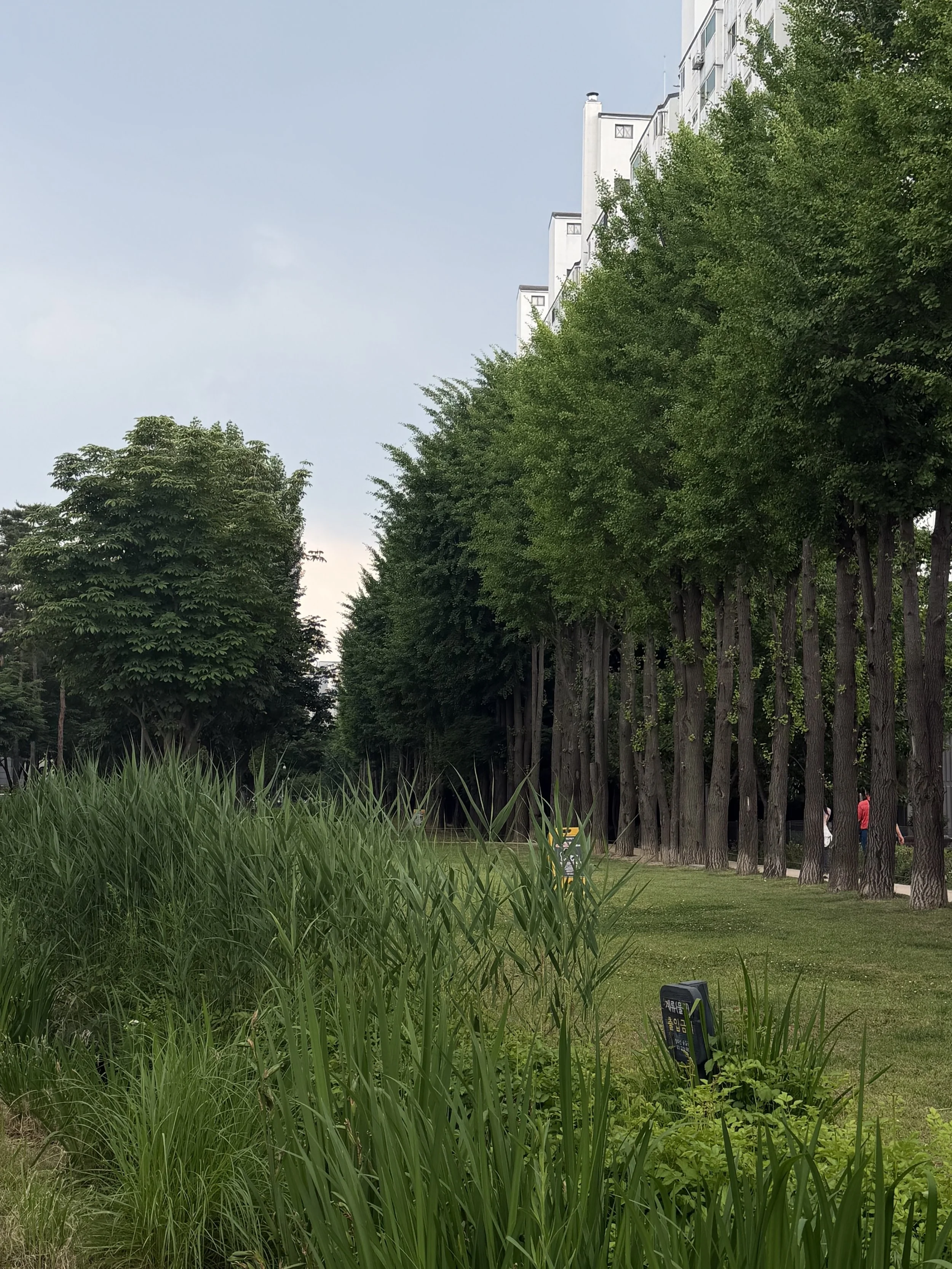 IMG_5041.jpeg