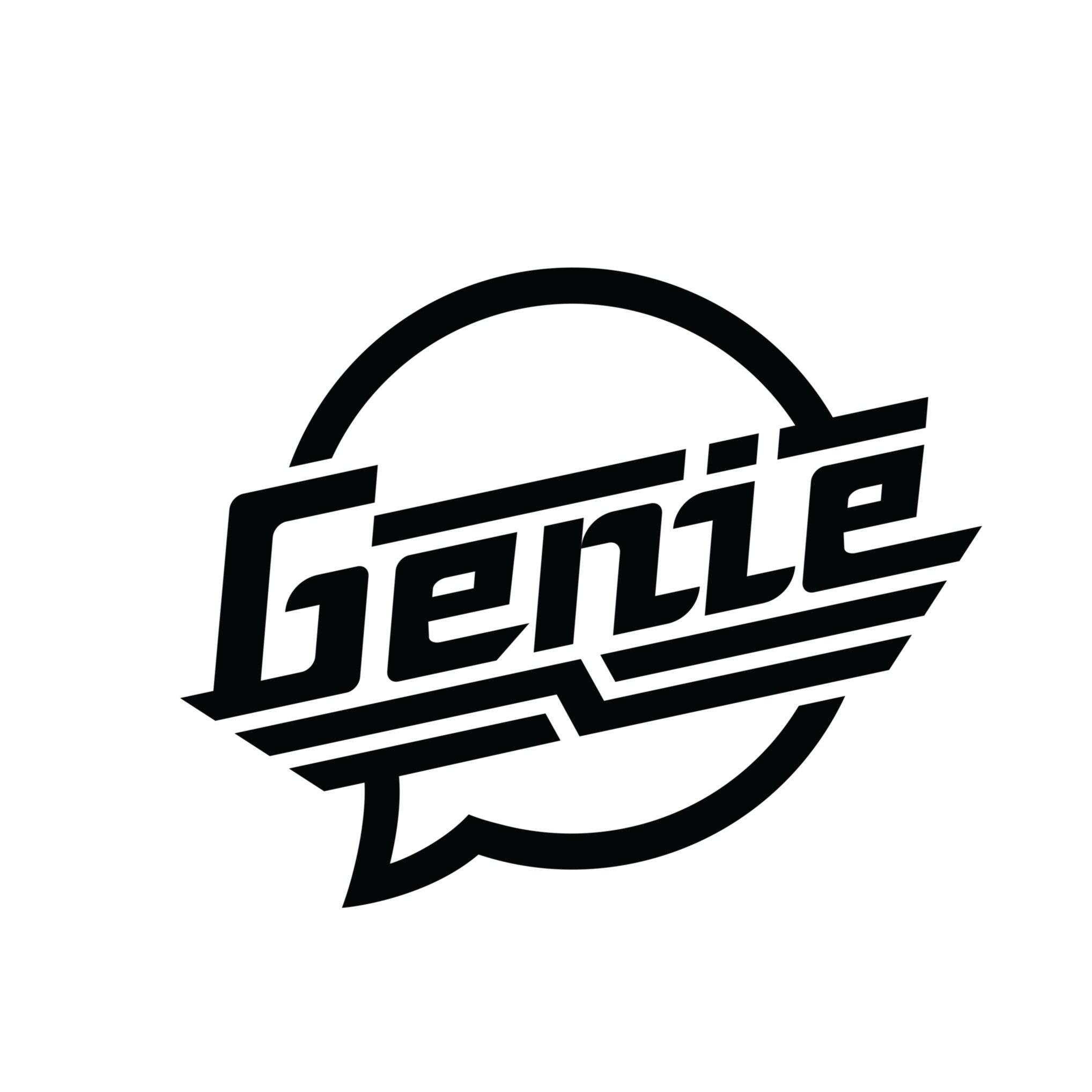 GenieVer2NoBackground-7.jpg