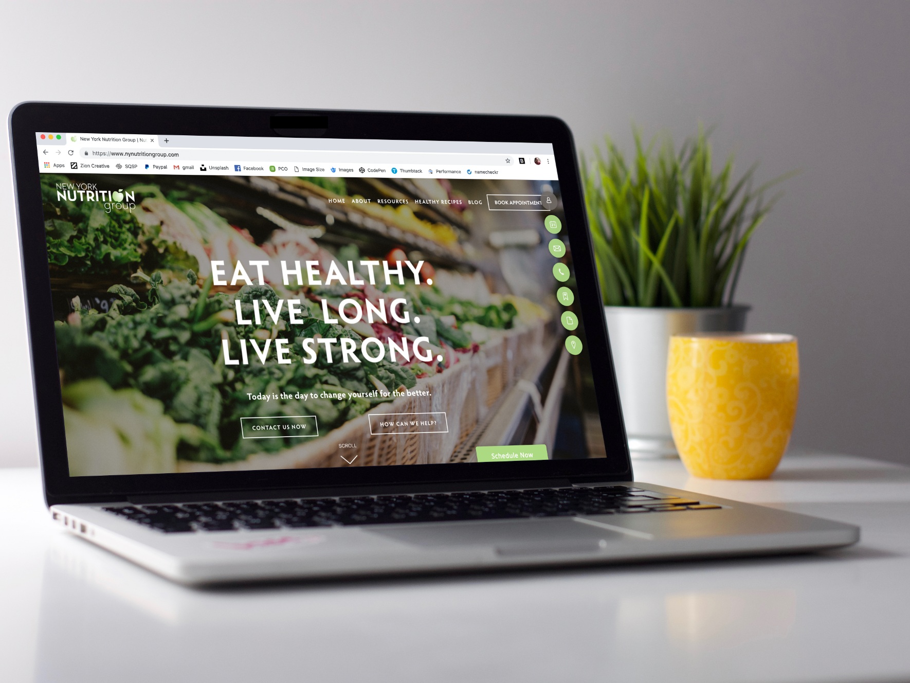 Screen+Shot+2019-04-03+at+3.44.47+PM.jpg