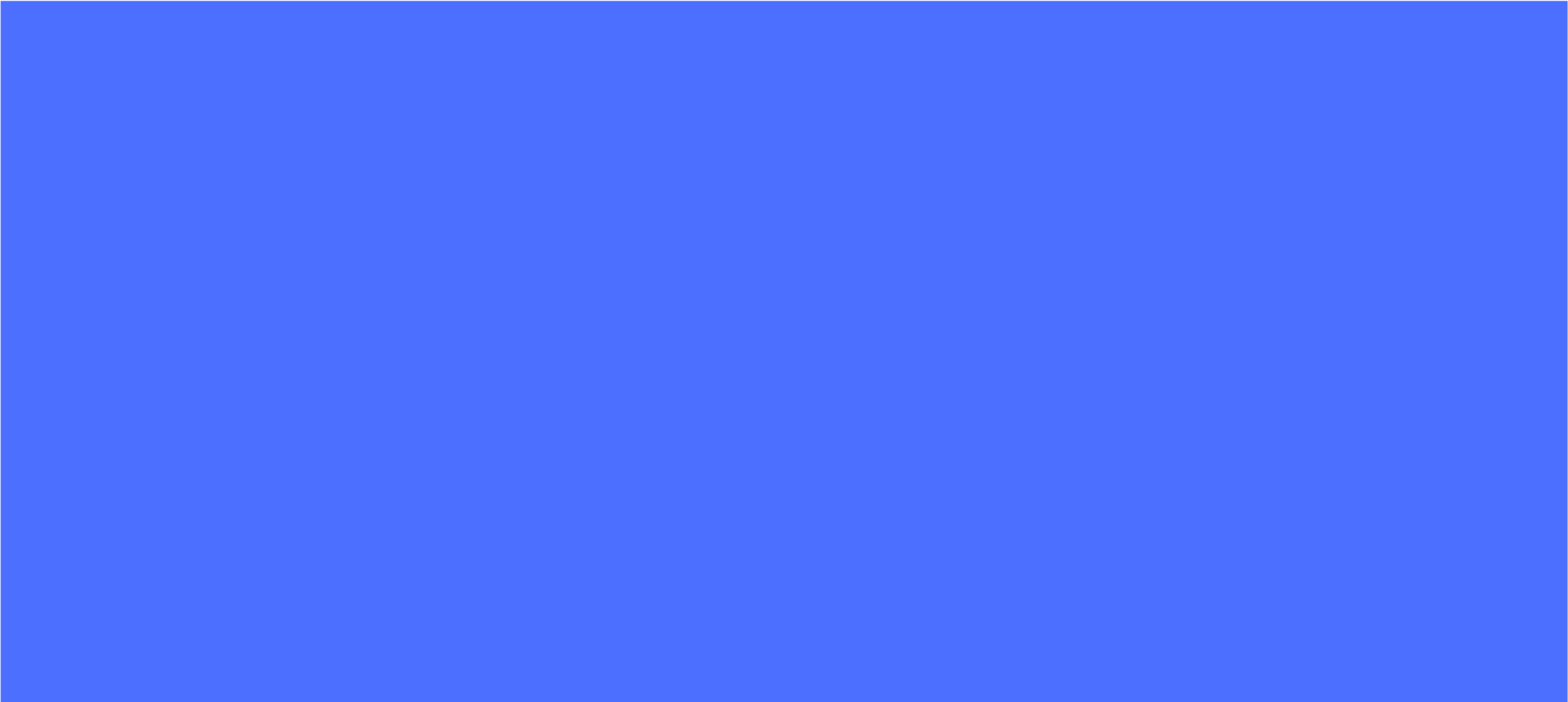 WHISTLE_WEBSITE_COLOR_BLOCKS-01.png