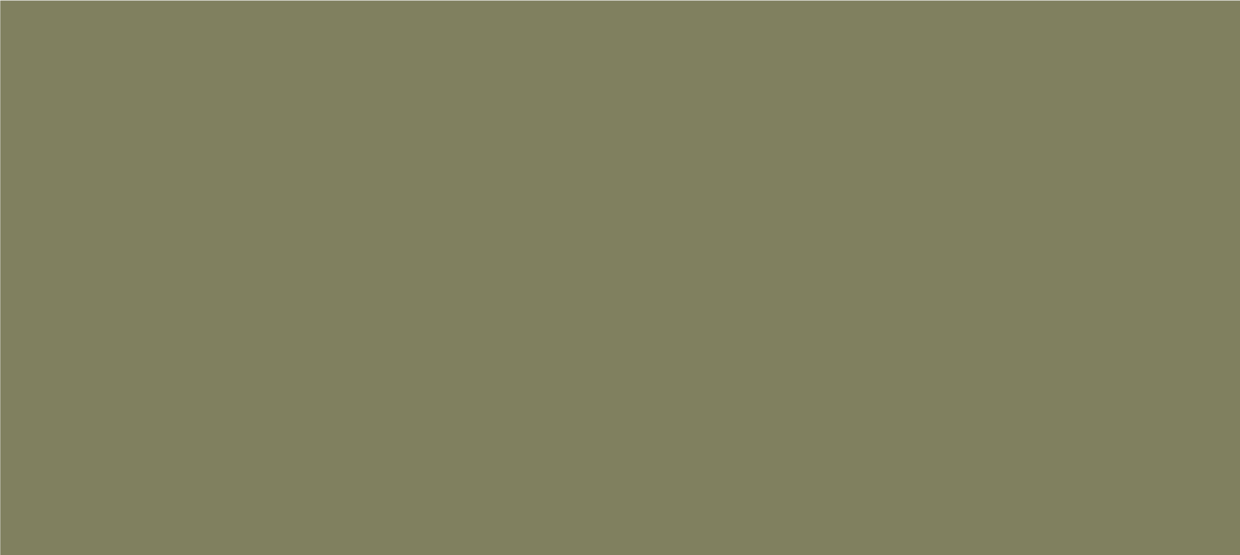 WHISTLE_WEBSITE_COLOR_BLOCKS-03.png