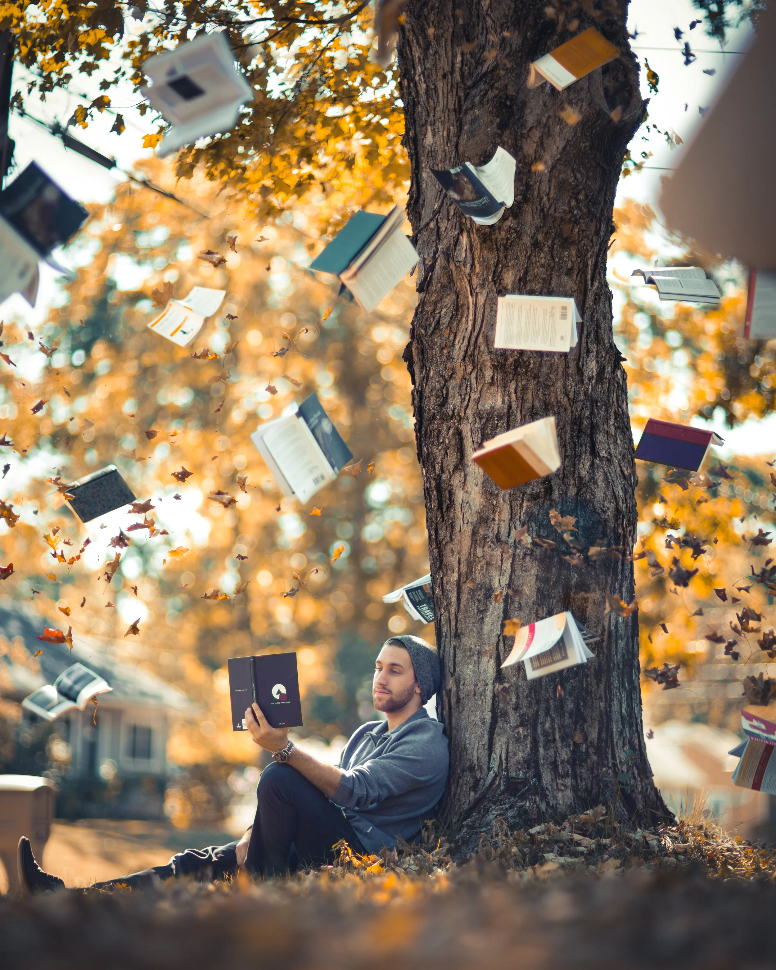 Floating_Books (1 of 1).jpg