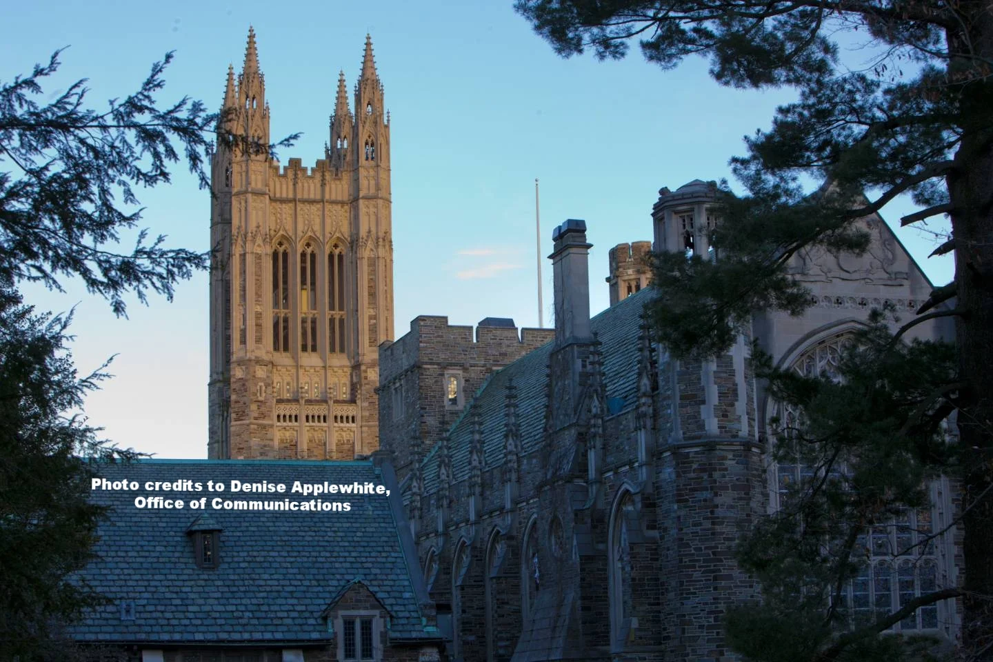Princeton moot court