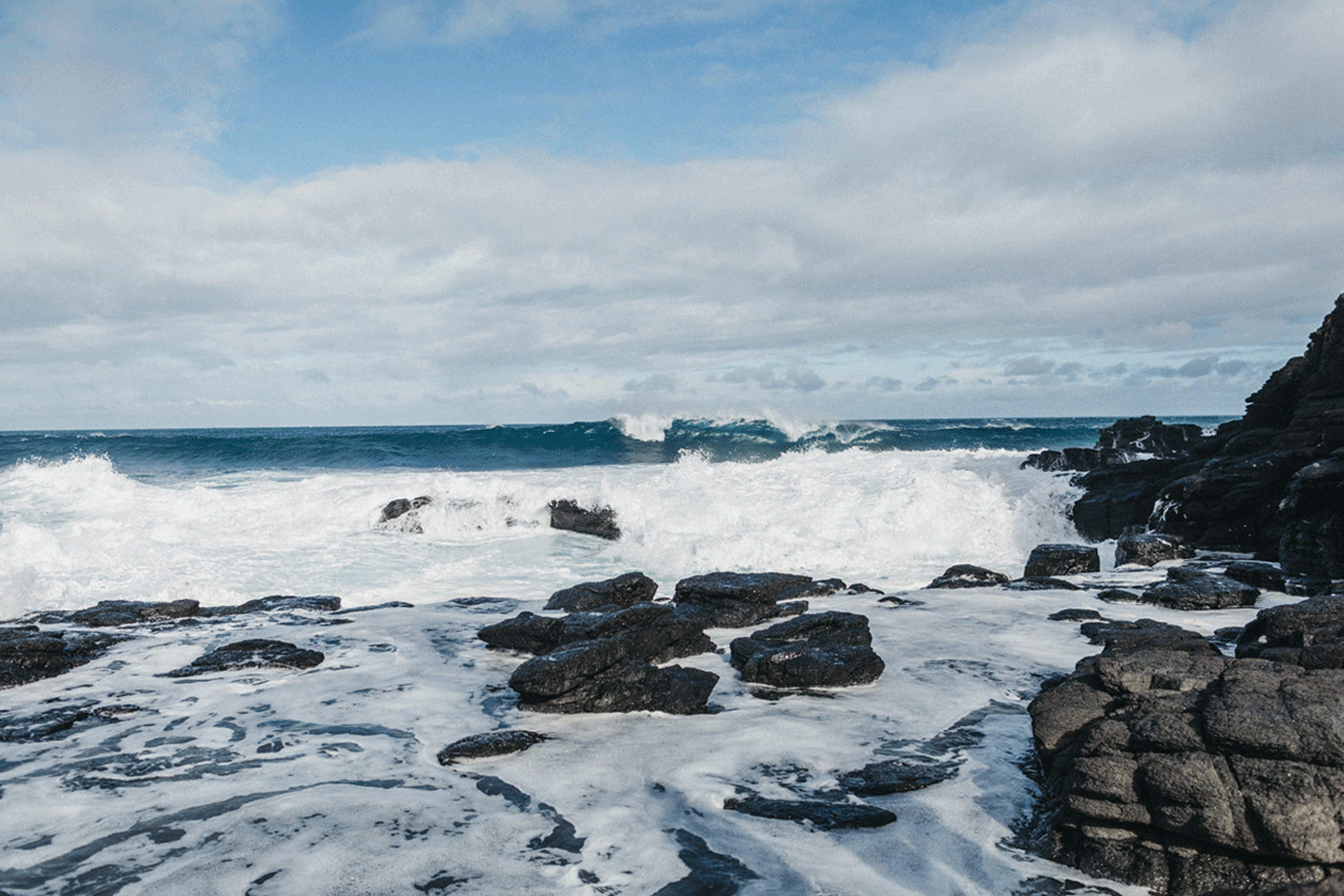 sea.gif