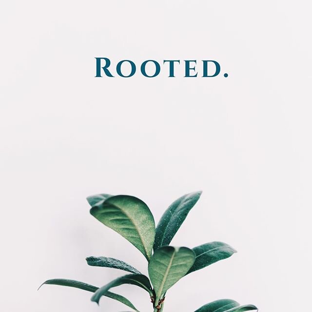 In the midst of such turmoil, let us remember to stay rooted. There is still hope, love, and joy! This too shall pass. Stay strong, and let us all remember to support each other in any and every capacity.
.
What are you doing to support others in the