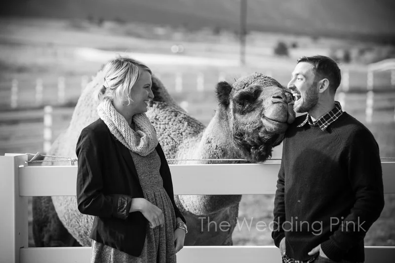 weddingpink_erikamike_engagement-61.jpg