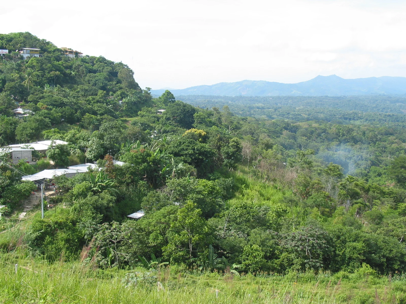 1 landscape panamericana.JPG