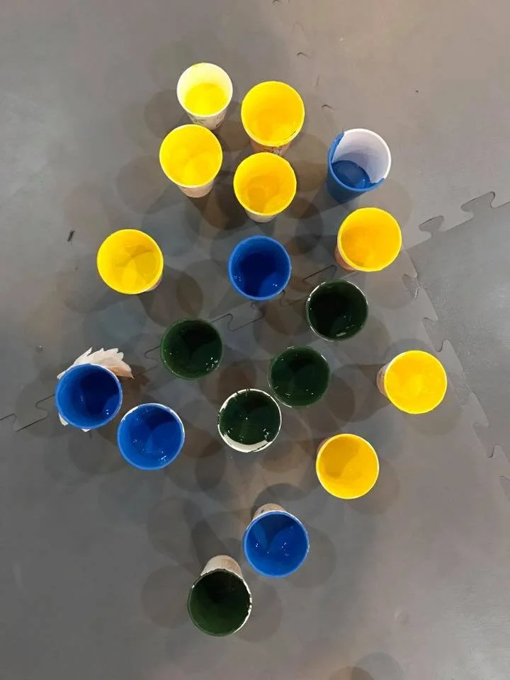 17634482_1312662438818345_1448885831031775256_n.jpg