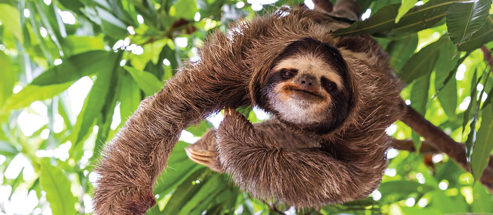 Costa Rica.jpg