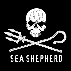 logo-Jolly-Roger-white-on-black-thick-300x.png