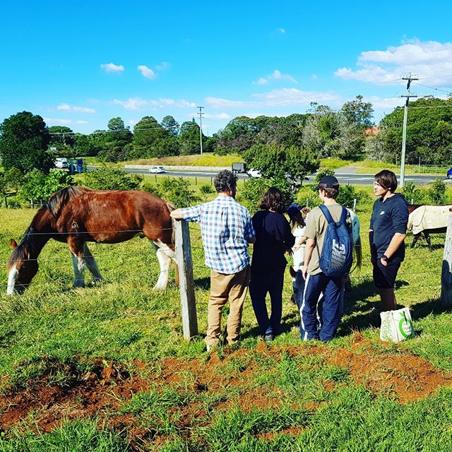 @thefarmatbyronbay has been so supportive of Byron Youth Service and has given our groups tours for three years running. It is always a highlight of our year. So lovely to see the young people light up around the animals and soak in the possibilities of ethical and sustainable business models. Thank you!! #youngpeoplematter #thefarmatbyronbay #organicfarming #realeducation
