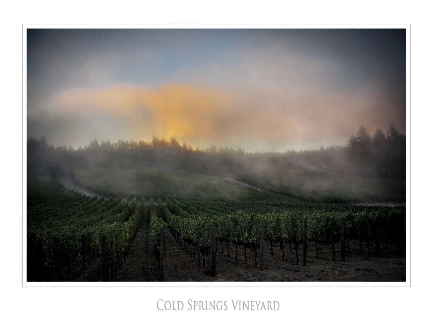 Landscapes and Vineyards 2.jpg
