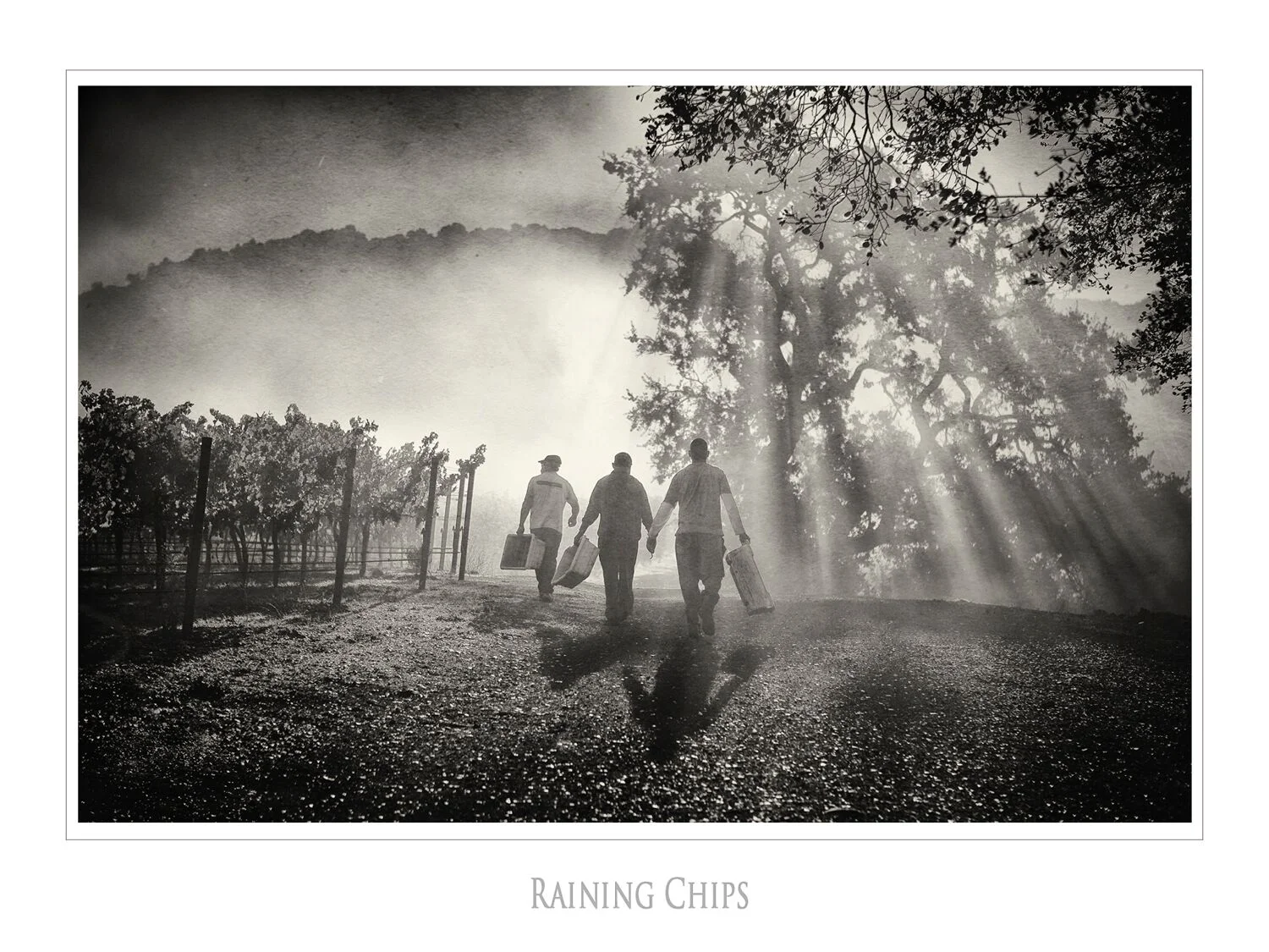 Landscapes and Vineyards 4.jpg