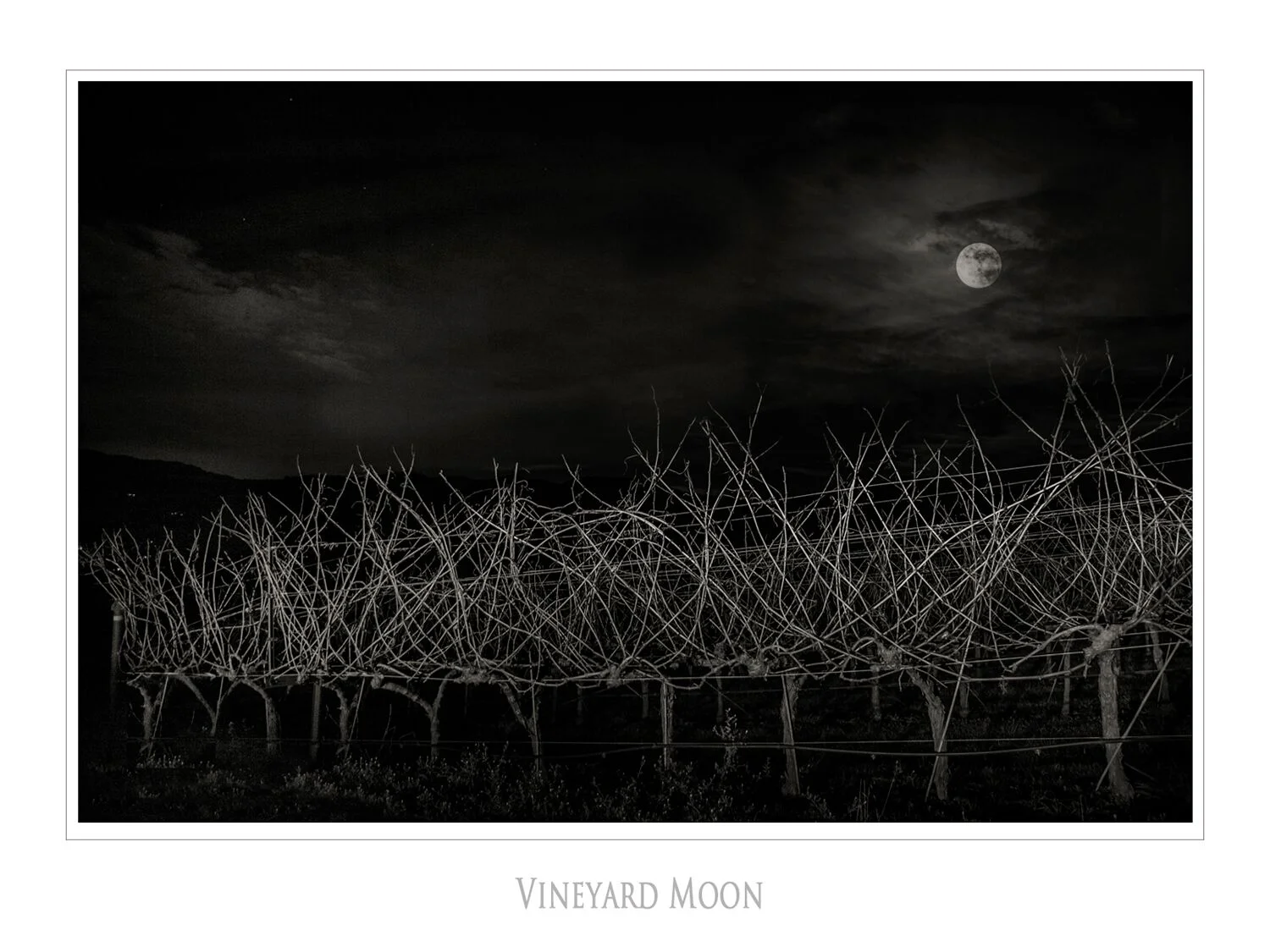 Landscapes and Vineyards 12.jpg