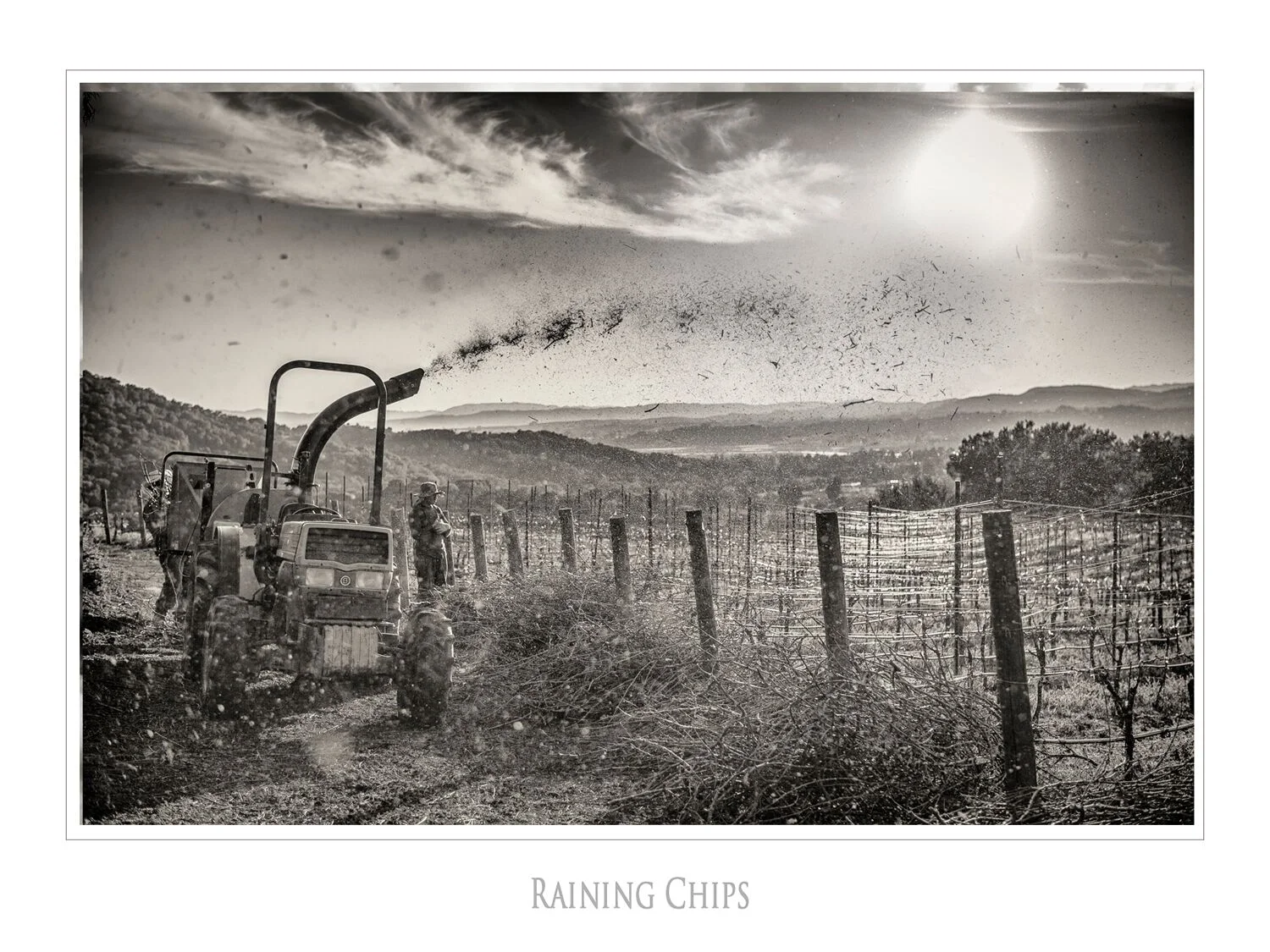 Landscapes and Vineyards 11.jpg