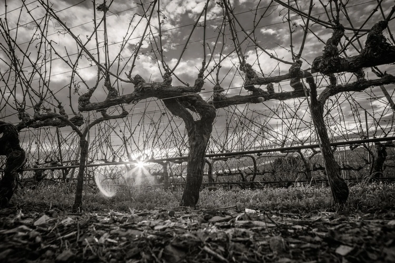 Stock Landscapes 2.jpg