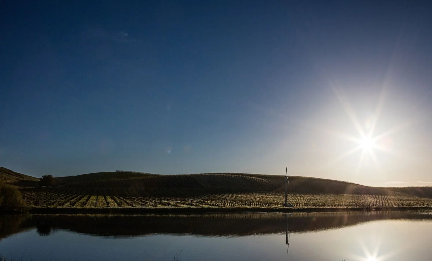 Stock Landscapes 5.jpg